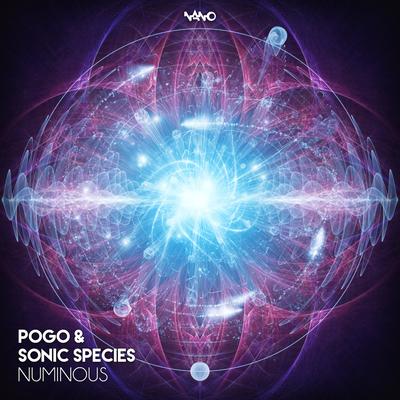 Numinous (Original Mix) By Sonic Species, Pogo, Zephirus Kane's cover