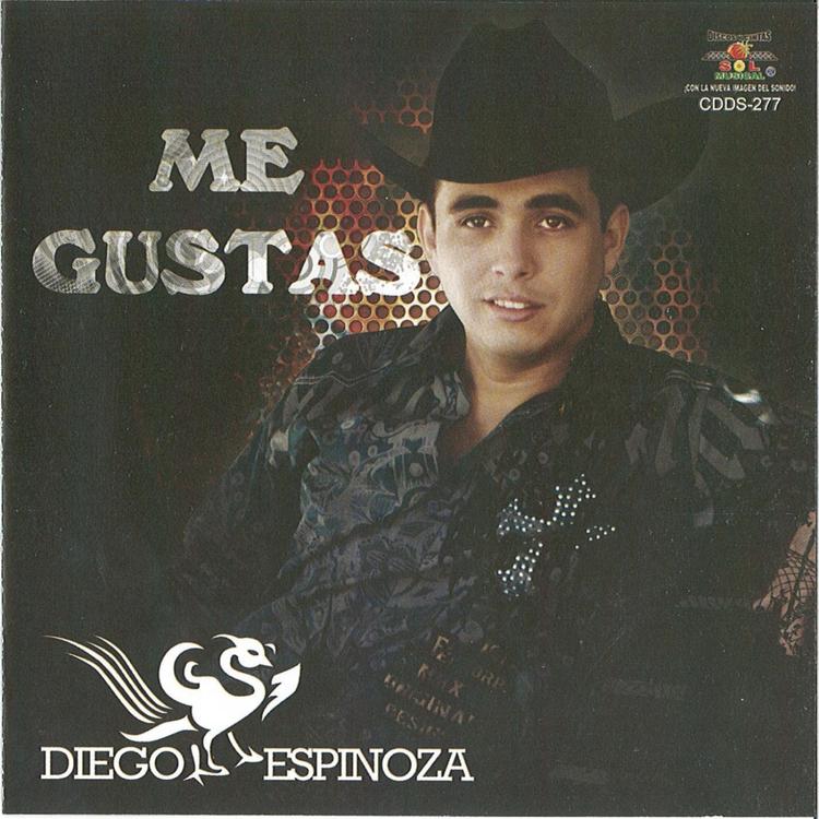 Diego Espinoza's avatar image