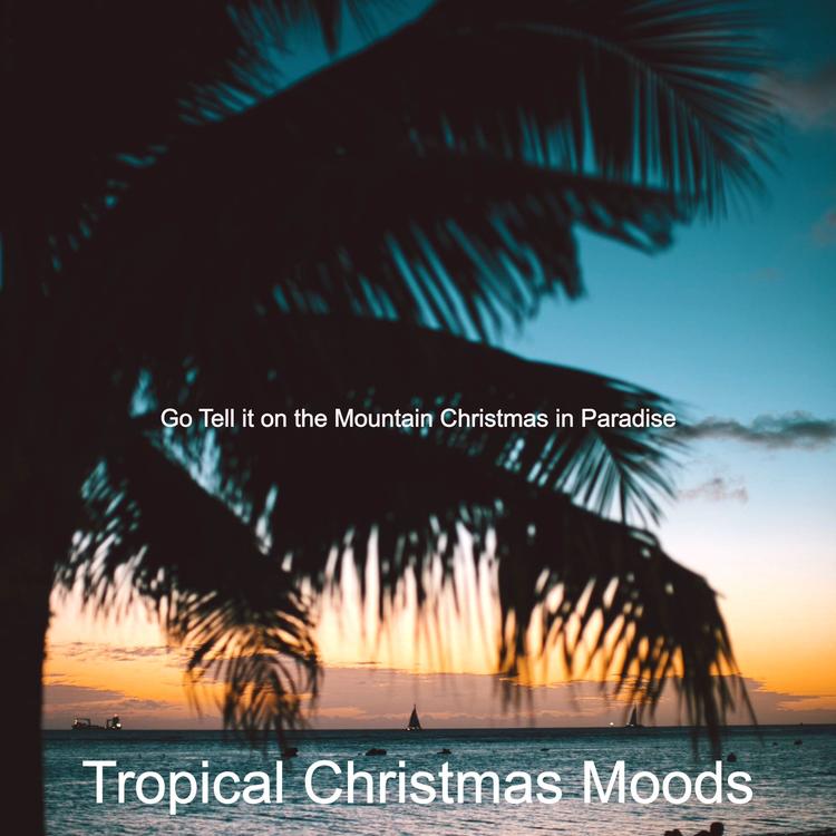 Tropical Christmas Moods's avatar image