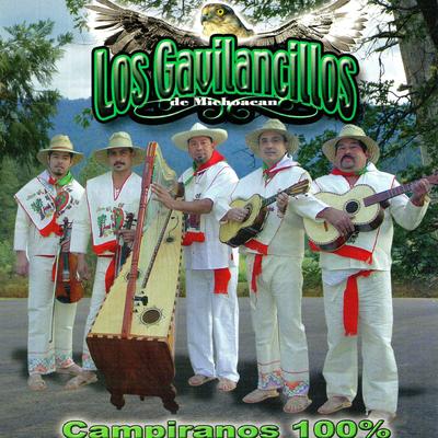 Dos Gotas de Agua By Los Gavilancillos De Michoacan's cover