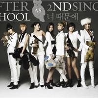 After School's avatar cover