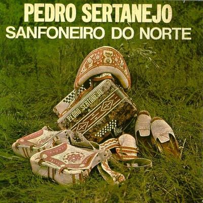 Brejão By Pedro Sertanejo's cover