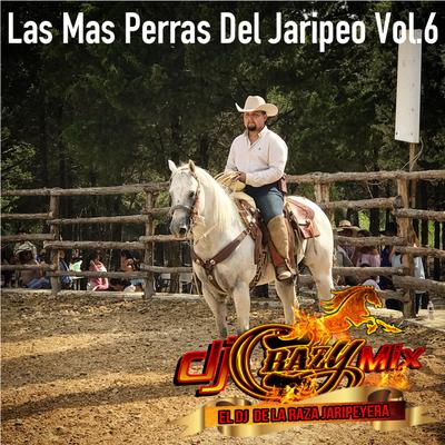 Las Mas Perras Del Jaripeo, Vol. 6's cover