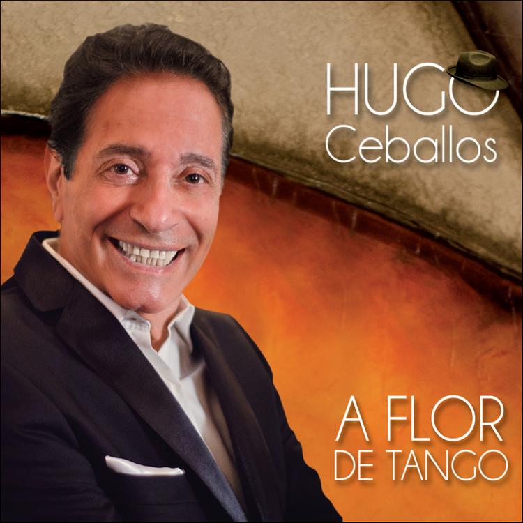 hugo ceballos's avatar image