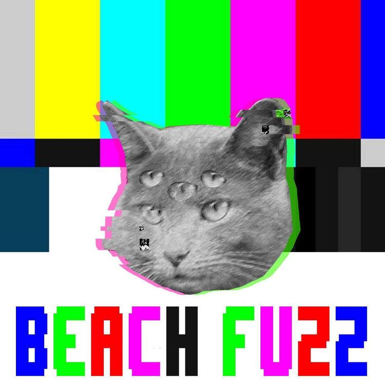 Beach Fuzz's avatar image