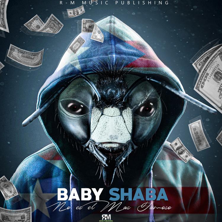 Baby Shaba's avatar image