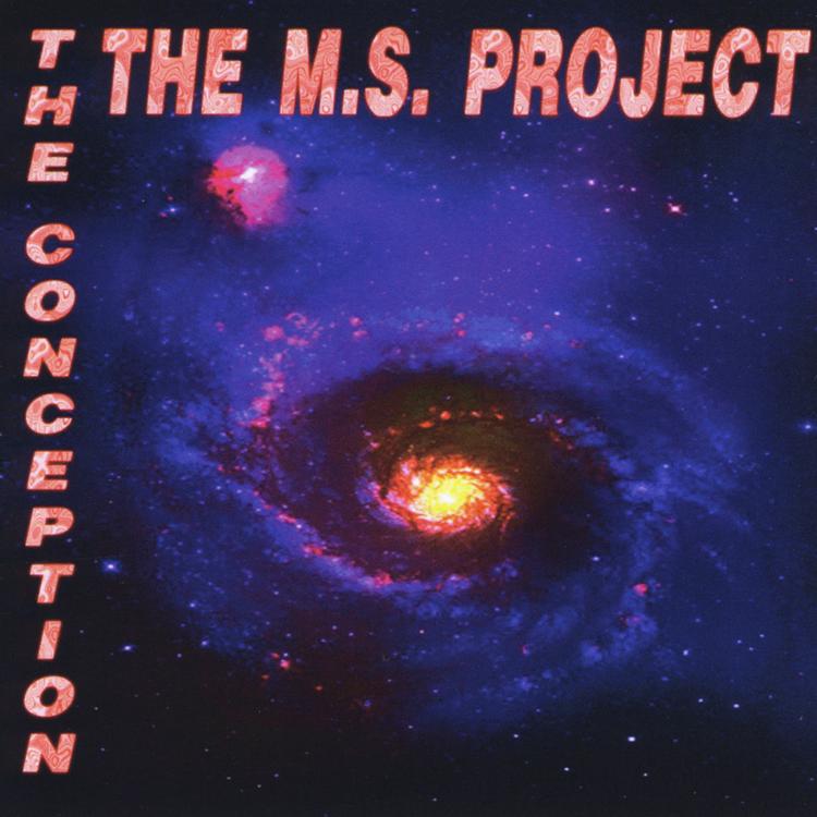 M.S. Project's avatar image