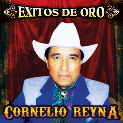 Exitos de Oro's cover