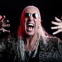Dee Snider's avatar cover