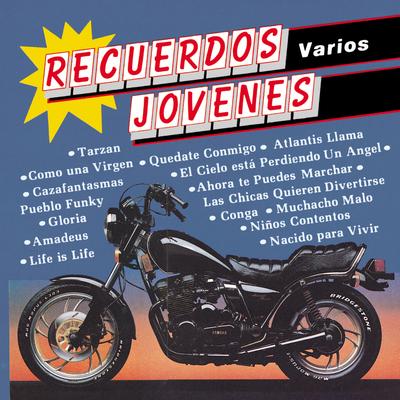 Nacido para Vivir (Born To Be Alive) By The Music Makers's cover
