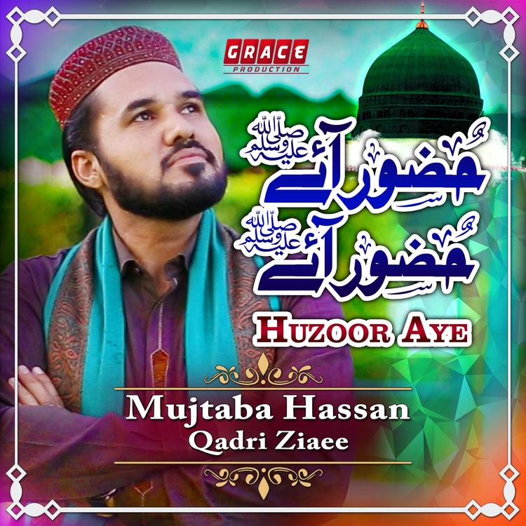 Mujtaba Hassan Qadri Ziaee's avatar image