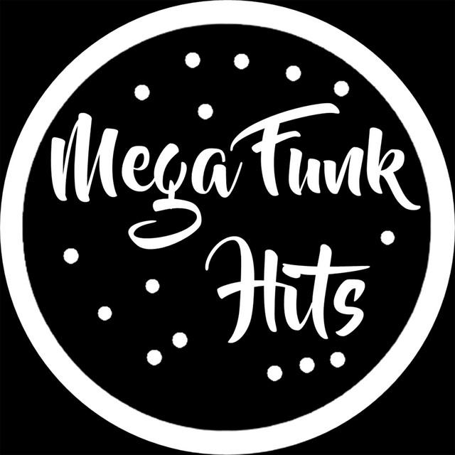 Mega Funk Hits's avatar image