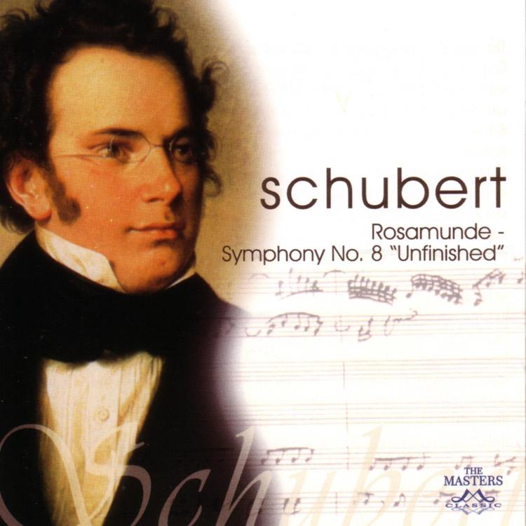 Munich Festival Orchestra/SCHUBERT's avatar image