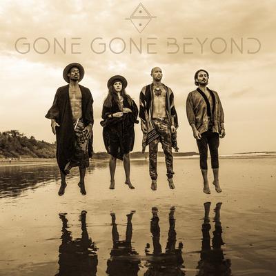 By the Sea By Gone Gone Beyond, The Human Experience, Semes's cover
