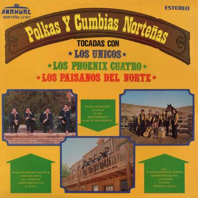 Polkas Y Cumbias Nortenas's cover