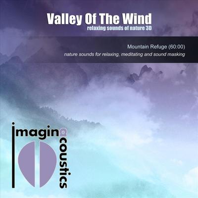 Valley of the Wind By Imaginacoustics's cover