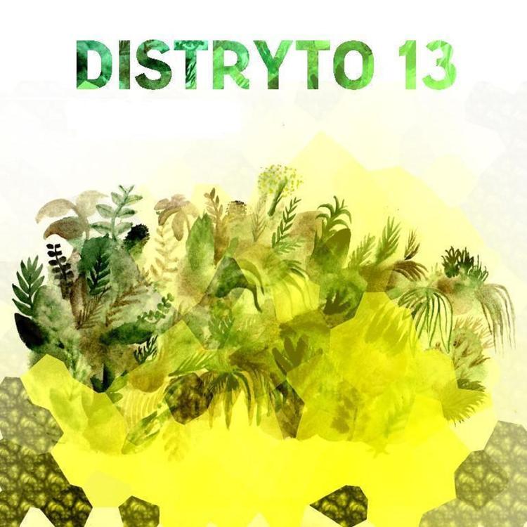 Distryto 13's avatar image