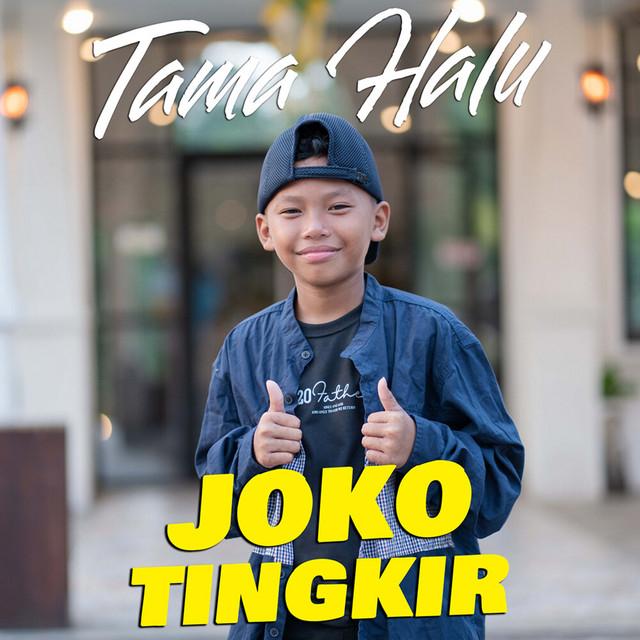 Tama Halu's avatar image