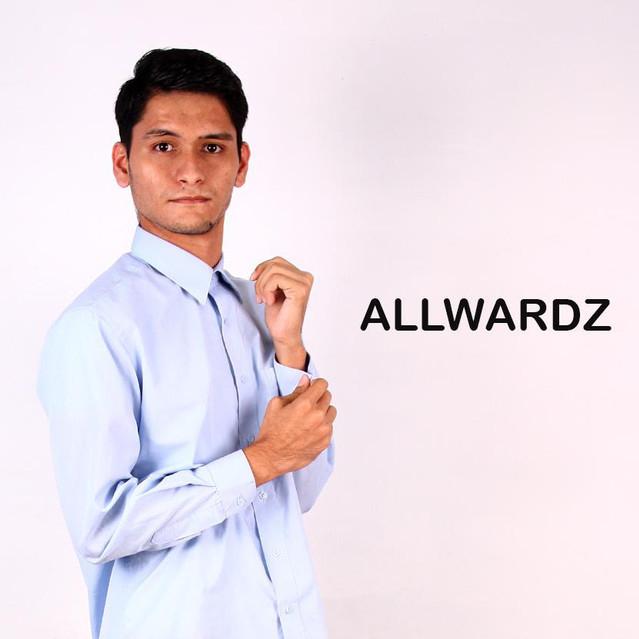Allwardz's avatar image