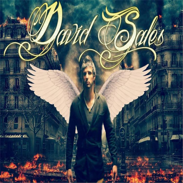David Sales's avatar image