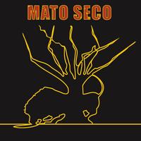 Circuito Reggae's avatar cover