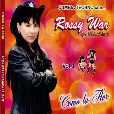 Tonto By Rossy War Y Su Banda Kaliente's cover