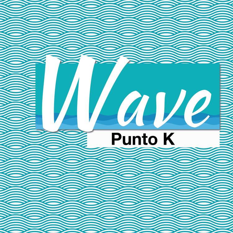 Punto k's avatar image