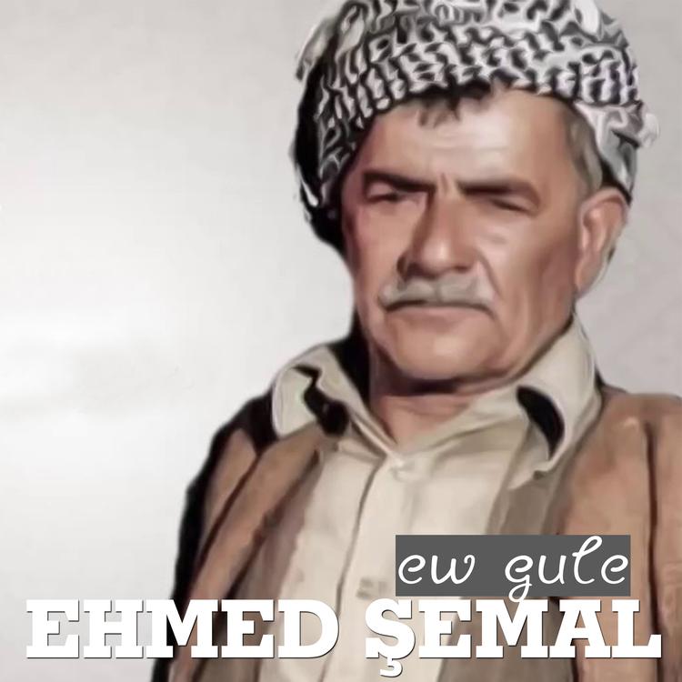 Ehmed şemal's avatar image