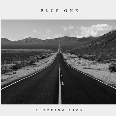 Sleep Lion's cover