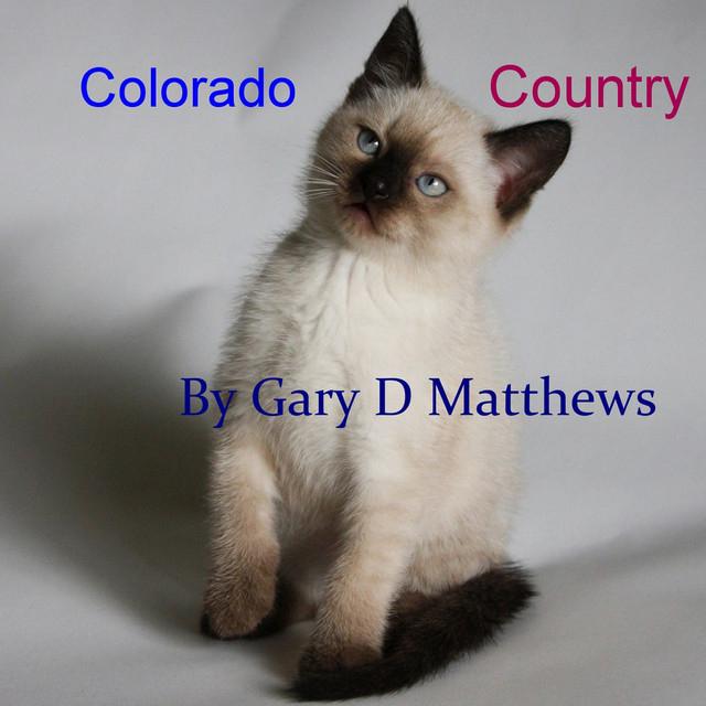 Gary D Matthews's avatar image