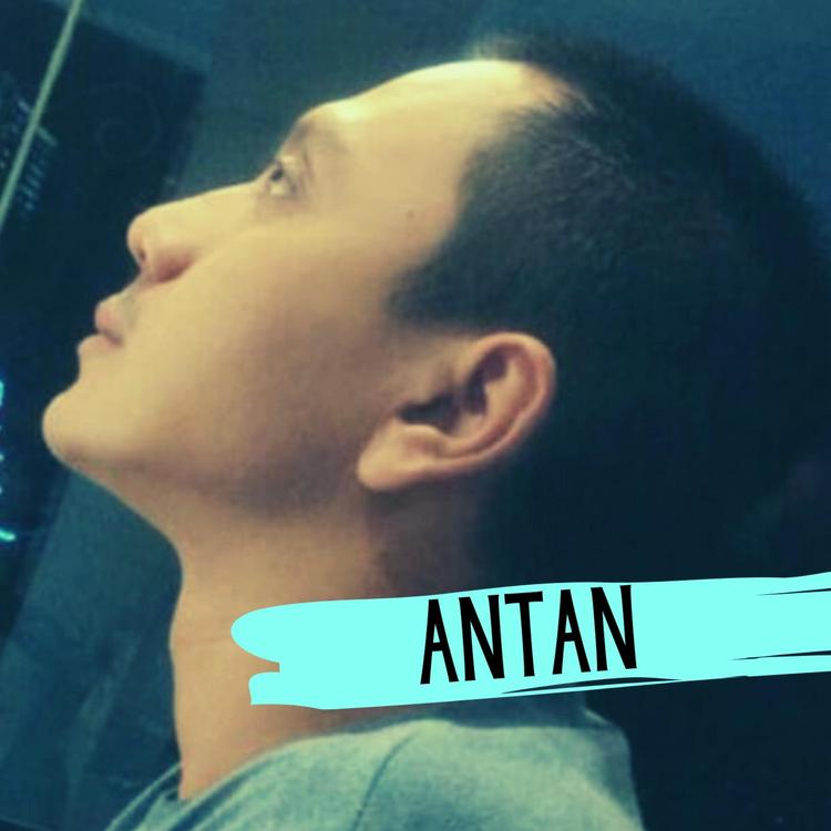 Antanp's avatar image