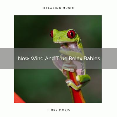 Now Wind And True Induce Sleep By Baby Sleep Music's cover