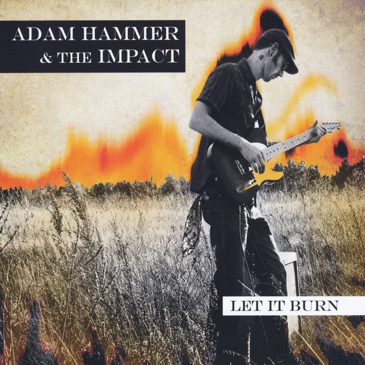 Adam Hammer & the Impact's avatar image