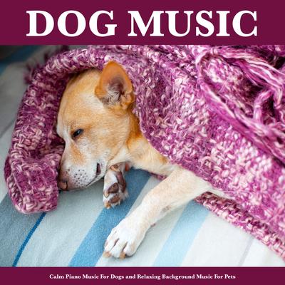 Peaceful Piano By Dog Music Experience, Dog Music, Sleeping Music For Dogs's cover