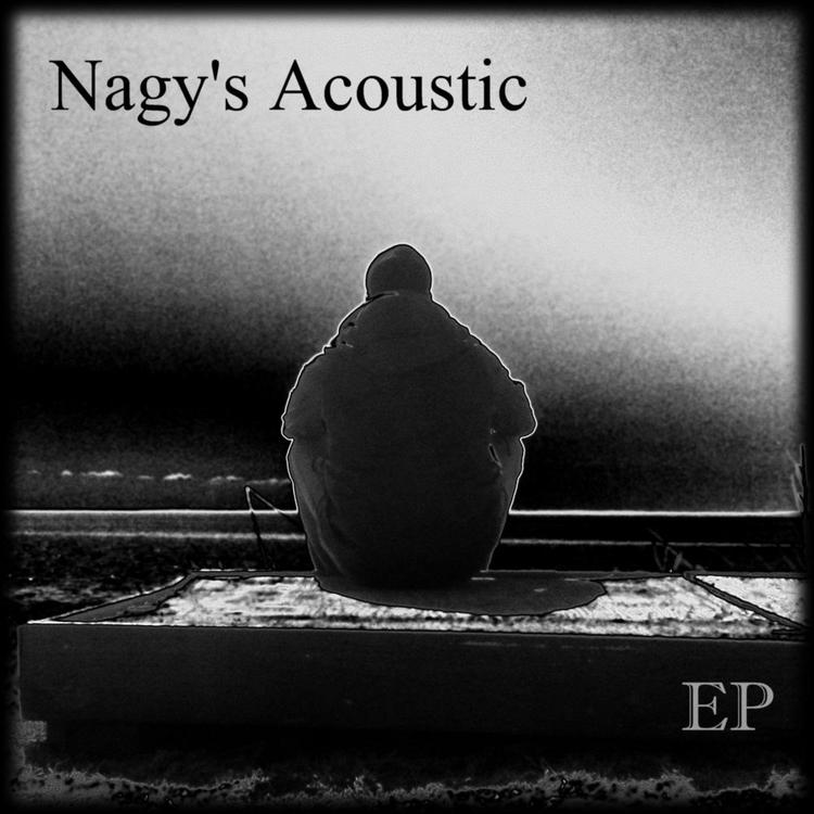 Nagy's Acoustic's avatar image