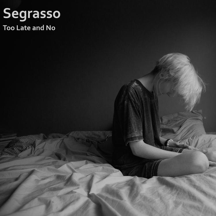 Segrasso's avatar image