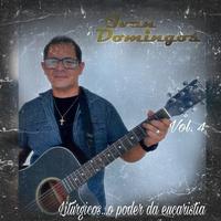 Ivan Domingos's avatar cover