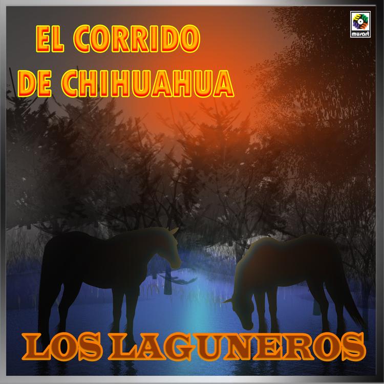 Los Laguneros's avatar image