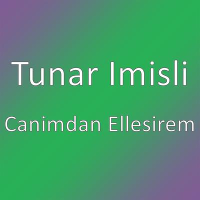 Tunar İmişli's cover