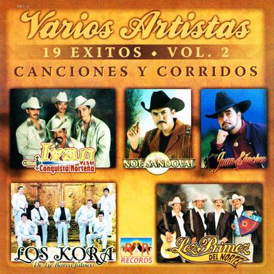 Canciones y Corridos 19 Exitos Vol. 2's cover