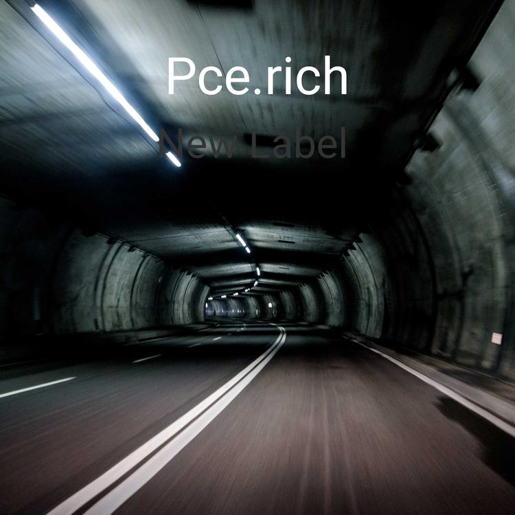Pce.rich's avatar image