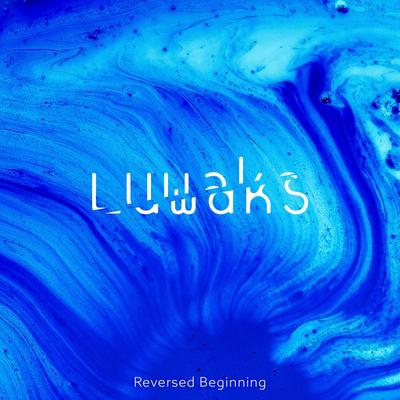 Reversed Beginning By Luwaks's cover