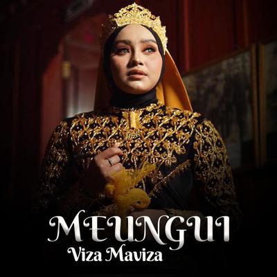 Viza Maviza's cover