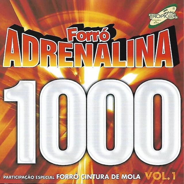 Forró Adrenalina 1000's avatar image