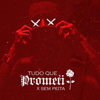 Tudo Que Prometi By X Sem Peita's cover