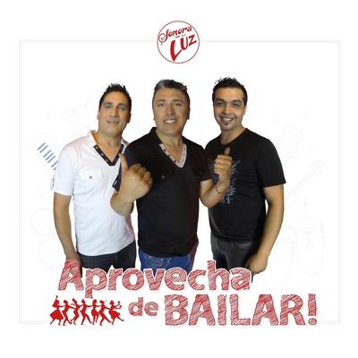 Aprovecha de Bailar's cover