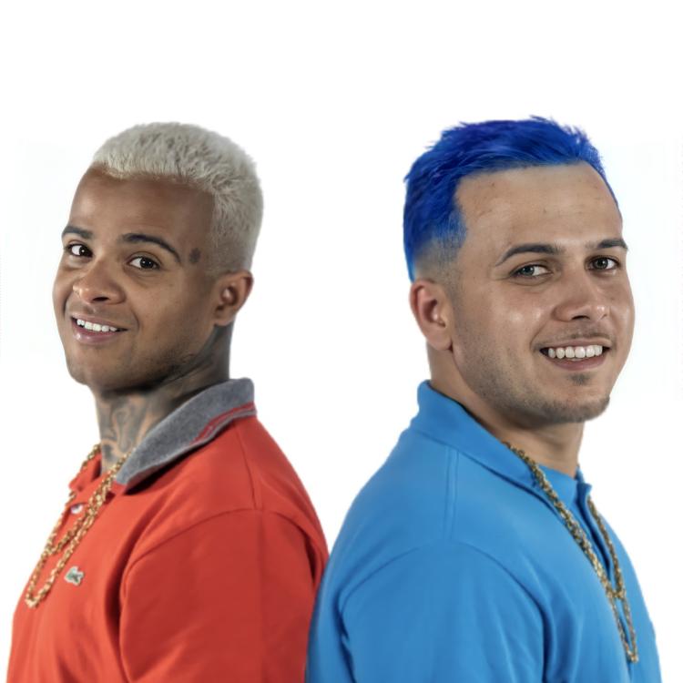 Mcs Nando e Luanzinho's avatar image