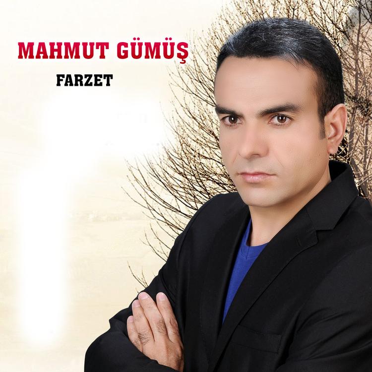 Mahmut Gümüş's avatar image