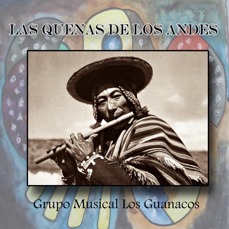 Grupo musical Los Guanacos's avatar image