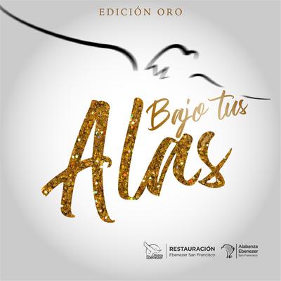 Los Cielos Se Abren Hoy (En Vivo)'s cover
